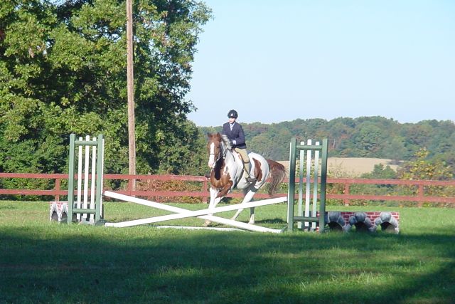 lehigh5355.jpg (74866 bytes)